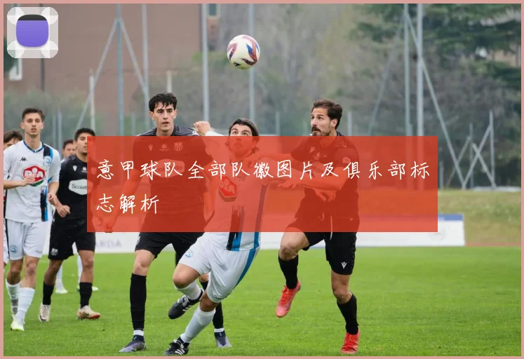 意甲球队全部队徽图片及俱乐部标志解析
