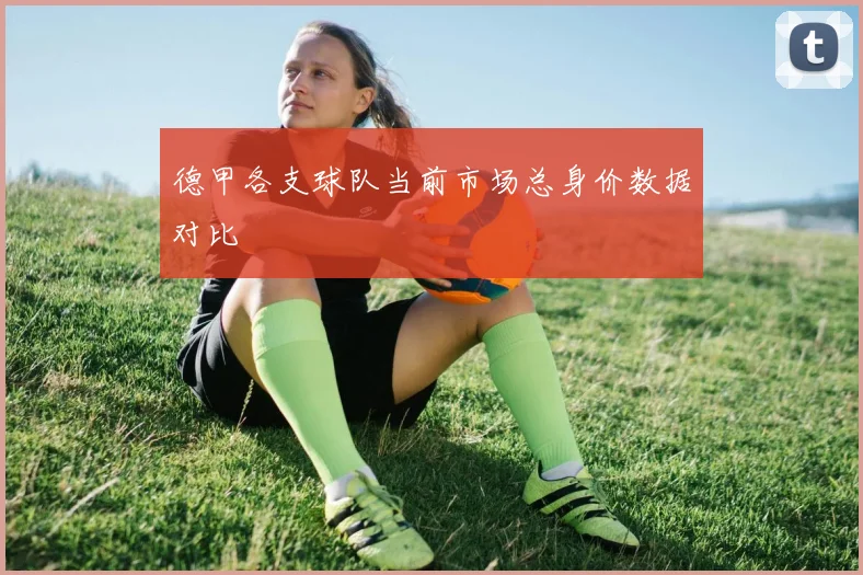 德甲各支球队当前市场总身价数据对比