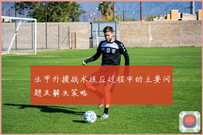 法甲外援战术适应过程中的主要问题及解决策略