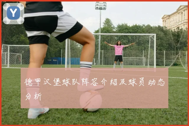 德甲汉堡球队阵容介绍及球员动态分析