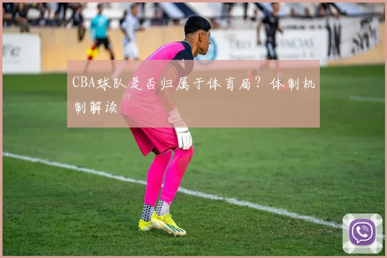 CBA球队是否归属于体育局？体制机制解读